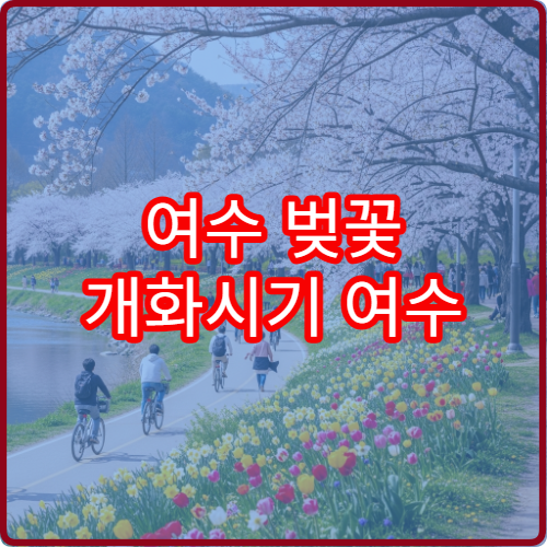 여수 벚꽃 개화시기 여수 벚꽃 명소 절정 시기