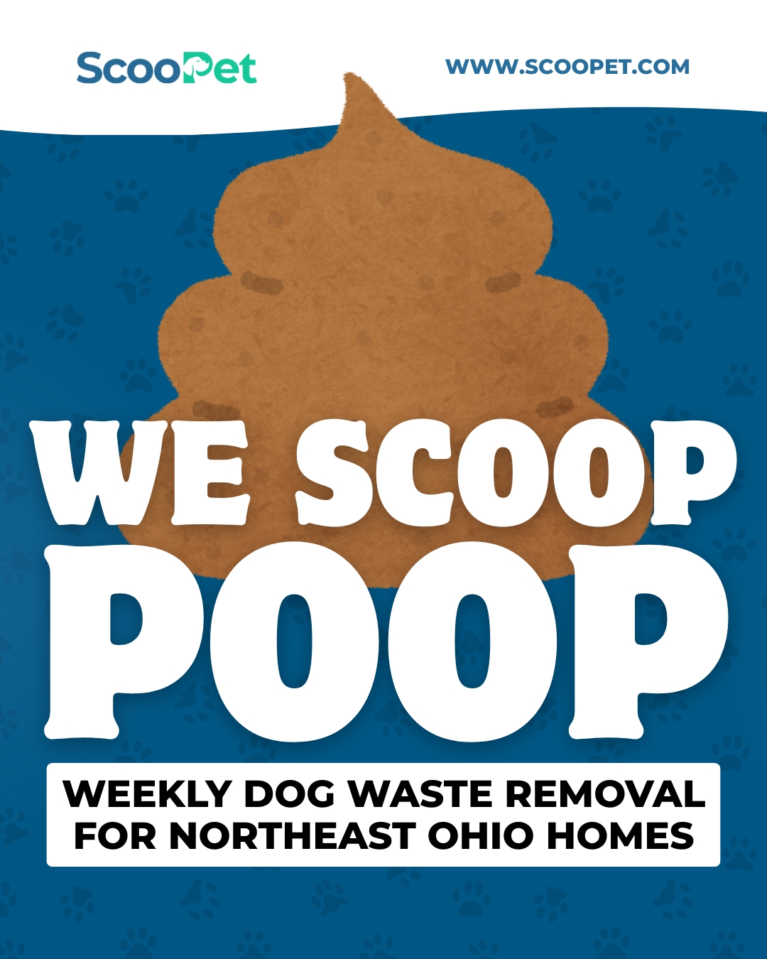 ScooPet static advertising creative