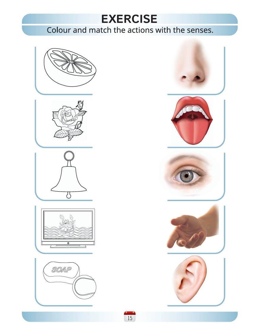 Science Book C - Activity Book