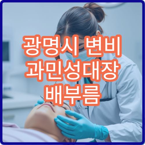 광명시 변비 과민성대장 배부름 소화기내과 대장내시경 치료 클리닉