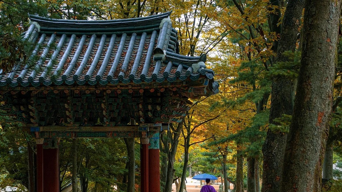 한국 속담 속 인물 유형과 그 의미 변화 흐름