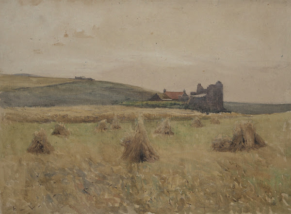 Wheatfield