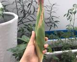 Ảnh Bước 1