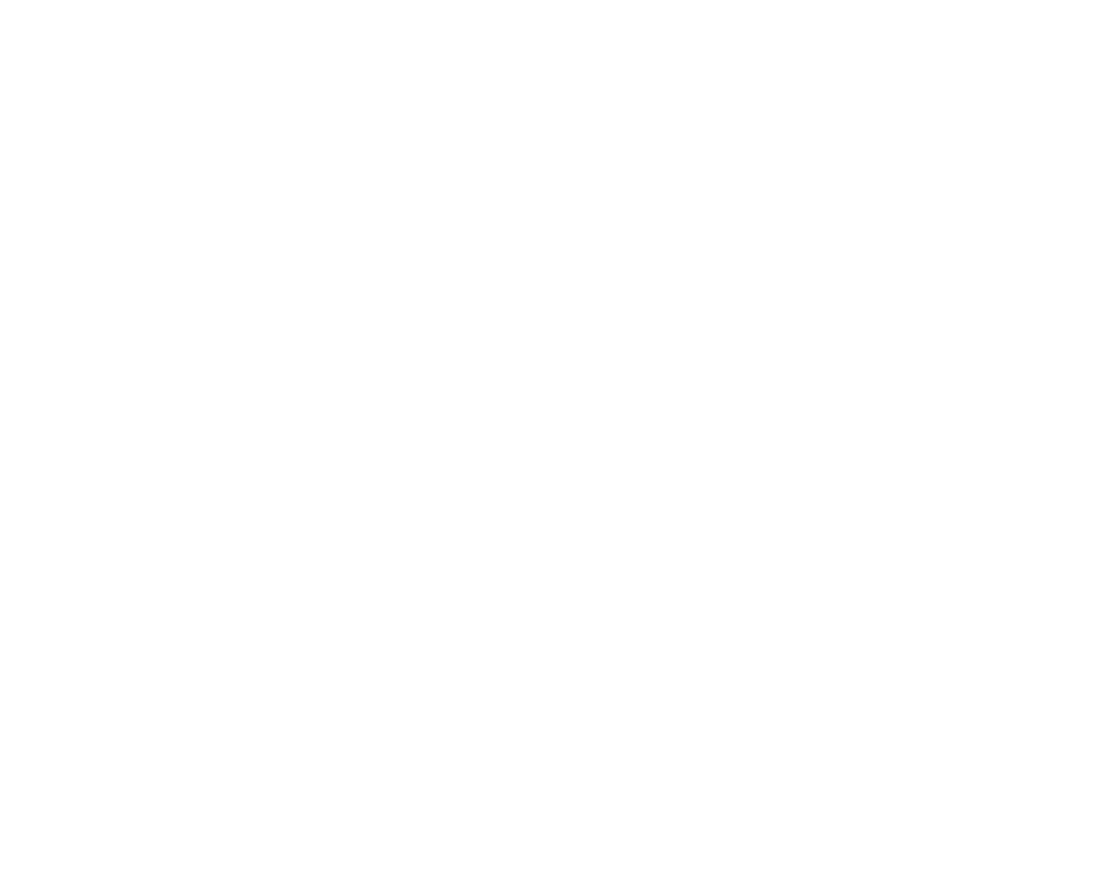Logo EVOS