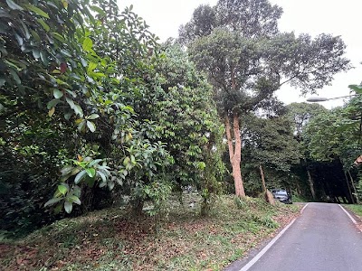 Tanah Pertanian Dusun Tua Hulu Langat — foto 10/10
