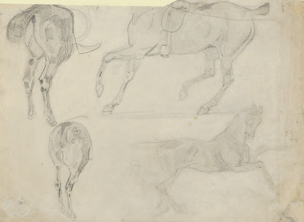 Four Studies of Horses 182931