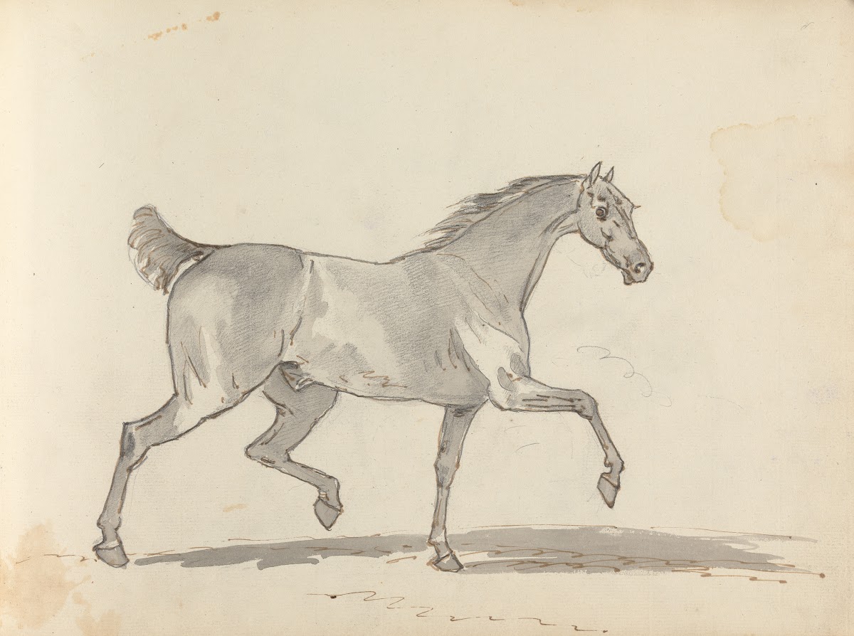 Fourty three Studies of Horses and Riders Pl34 1787
