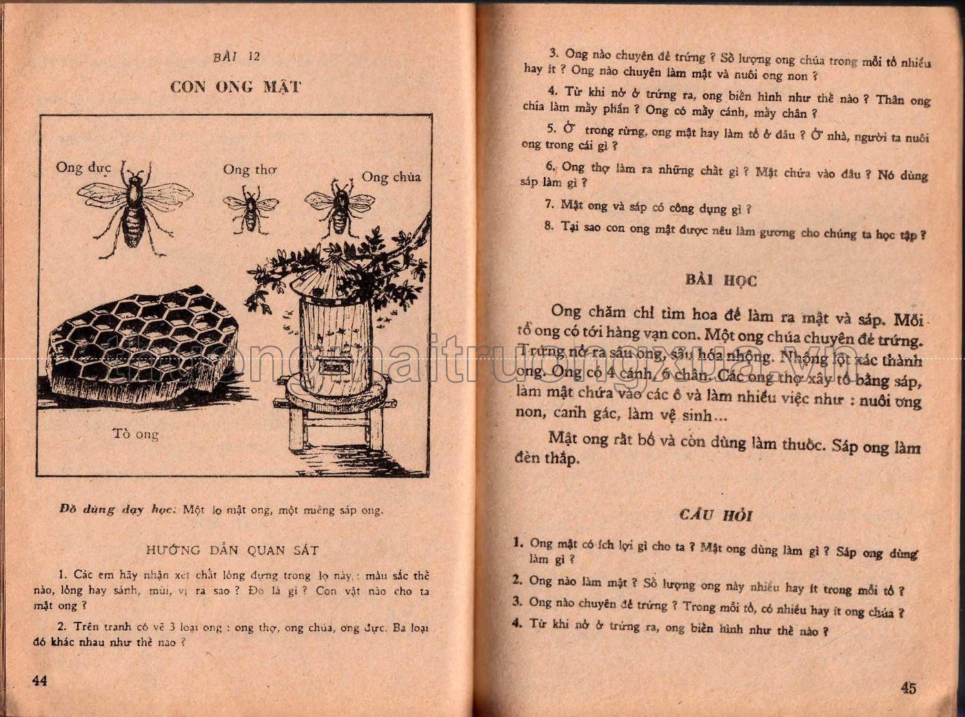 Khoa học thường thức lớp 4 phổ thông (1989) - Trang 23