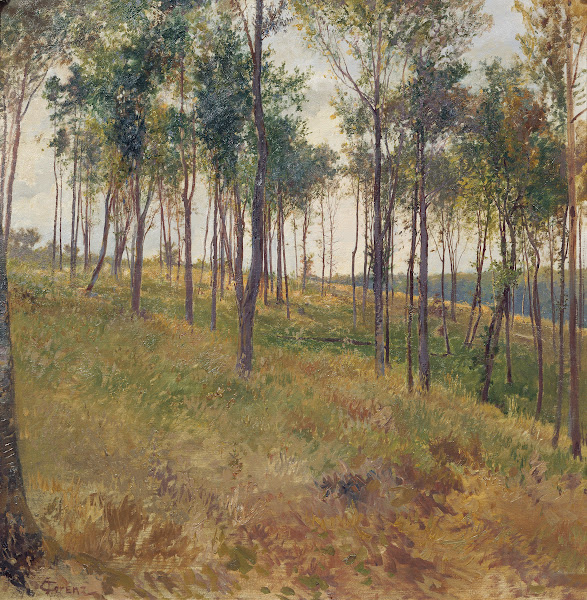 Waldmotiv Bei Kritzendorf