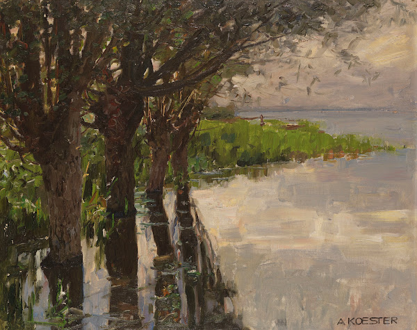 Reichenau Weiden am See Sonne 1909 1914