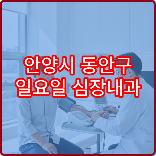 안양시 동안구 일요일 심장내과 진료 병원 가슴통증·부정맥 상담 가능