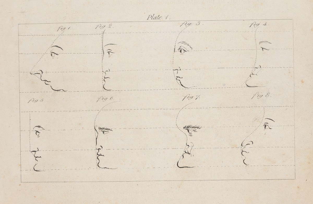Eight studies of facial profiles