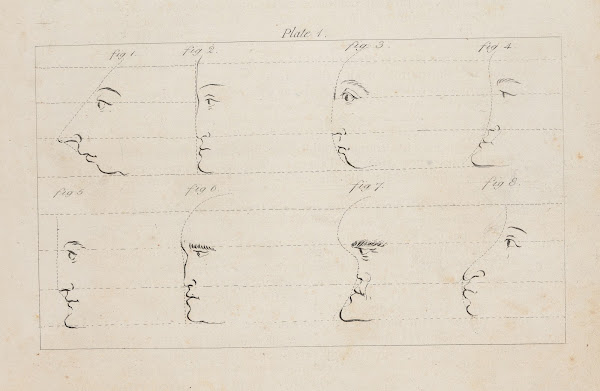 Eight studies of facial profiles