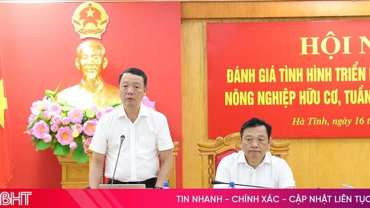 Xác định phát triển nông nghiệp hữu cơ là mũi nhọn kinh tế bền vững tại Hà Tĩnh - Báo Hà Tĩnh