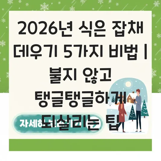 잡채 데우기 식은 잡채를 불지 않고 탱글탱글하게 다시 맛있게 먹는 방법 대표 이미지