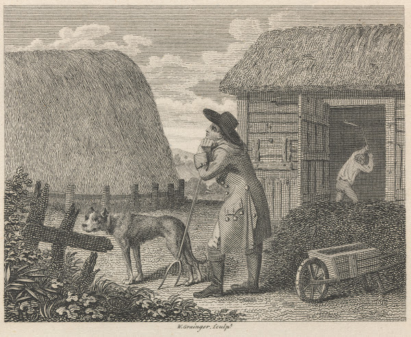 Fable XXXV The Barley mow and the Dunghil 1793