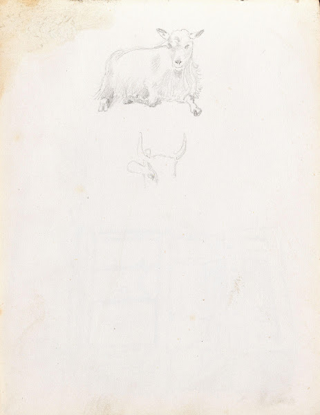 Dyrestudier 1848
