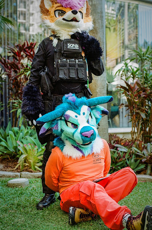 furdu-18.jpg
