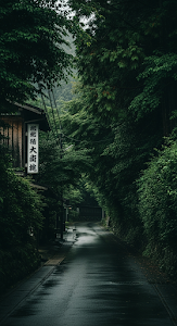 Atmospheric Vertical View of a Narrow Wet Street Winding Through a Traditional Japanese Village in a Lush Green Forest