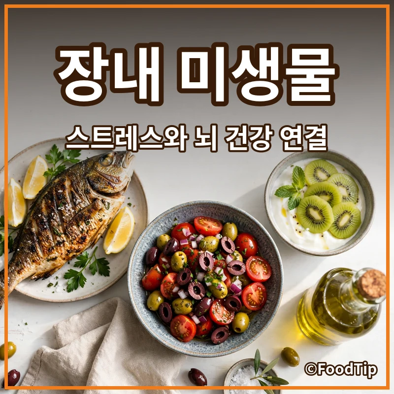 당신의 뇌가 맑아지는 기적: 장내 미생물, 스트레스와 뇌 건강의 숨겨진 연결고리