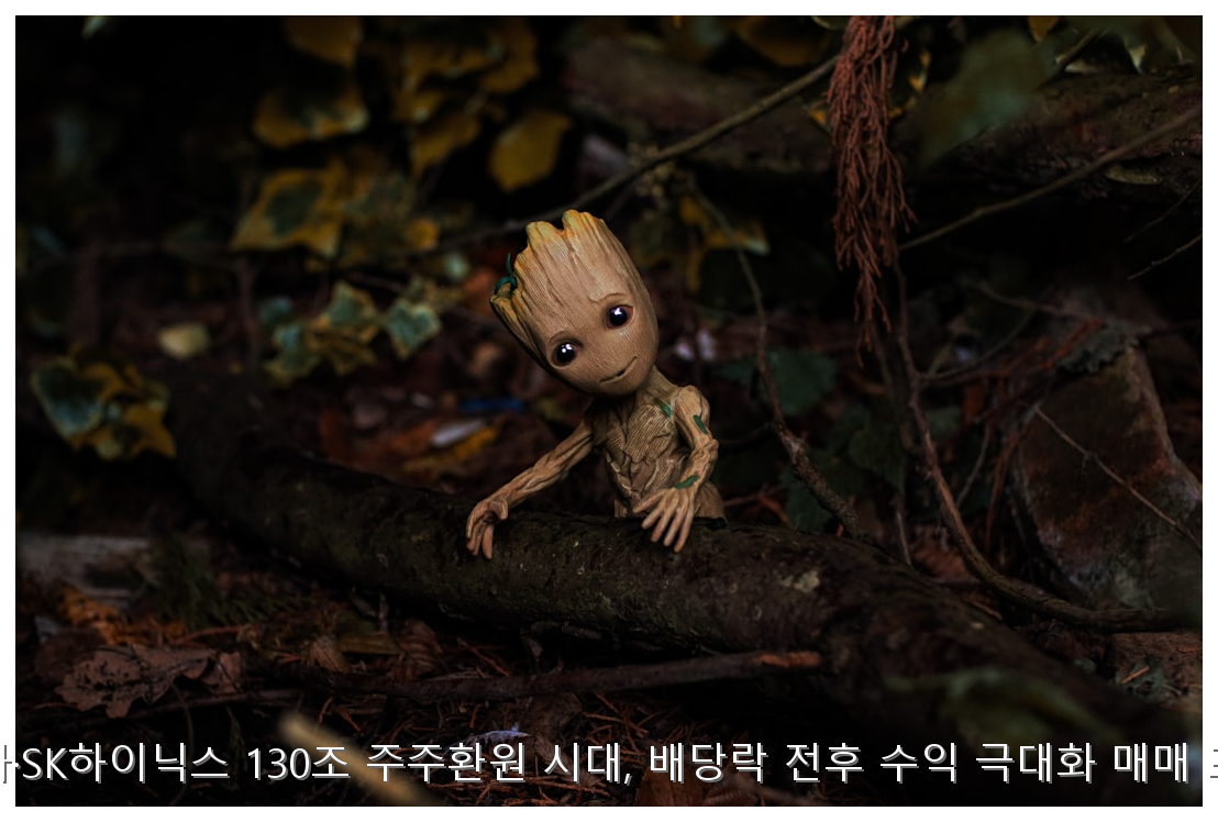 삼성전자·SK하이닉스 130조 주주환원 시대, 배당락 전후 수익 극대화 매매 프로세스 핵심 안내 및 분석 인포그래픽 (3)