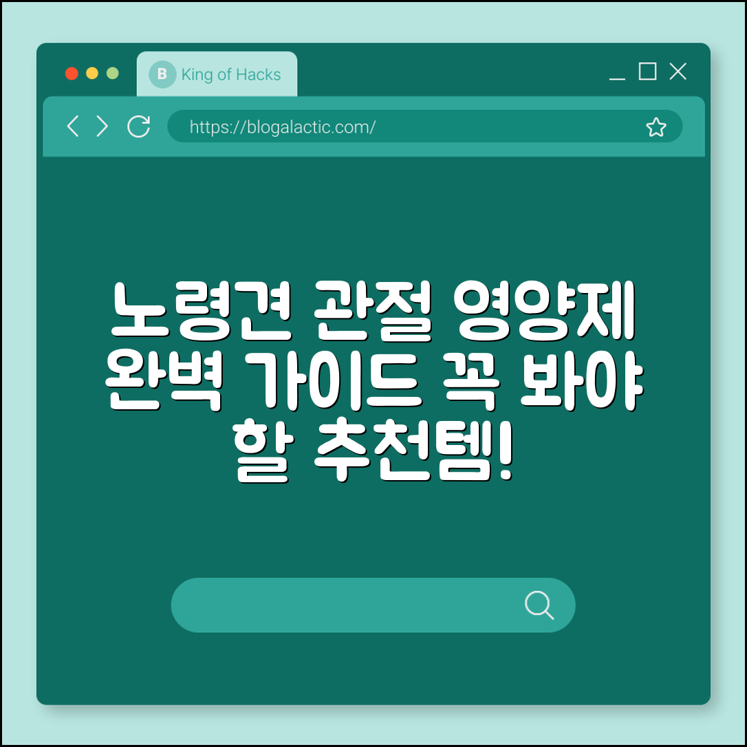 노령견 관절 영양제 완벽 가이드