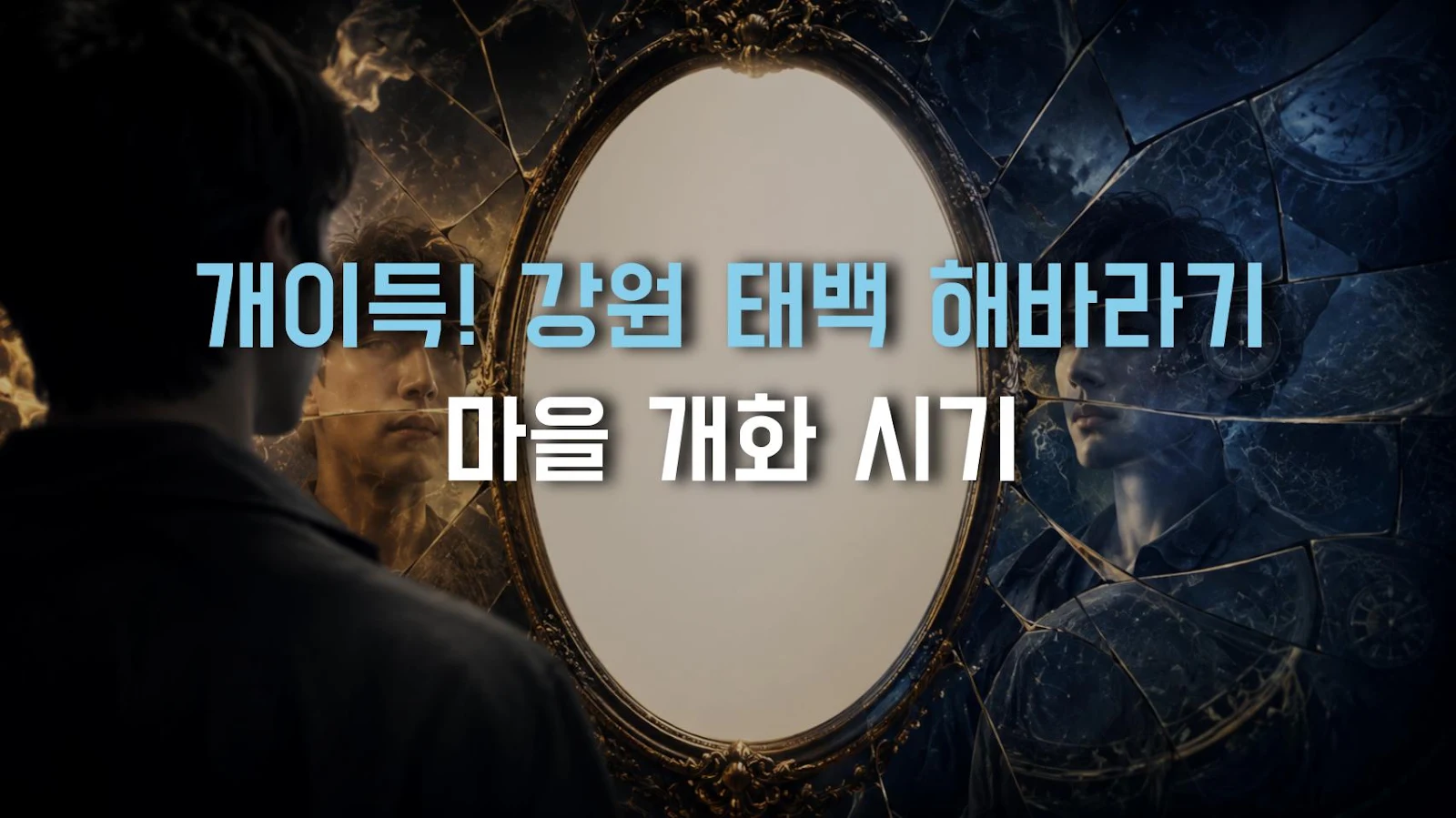 개이득! 강원 태백 해바라기 마을 개화 시기
