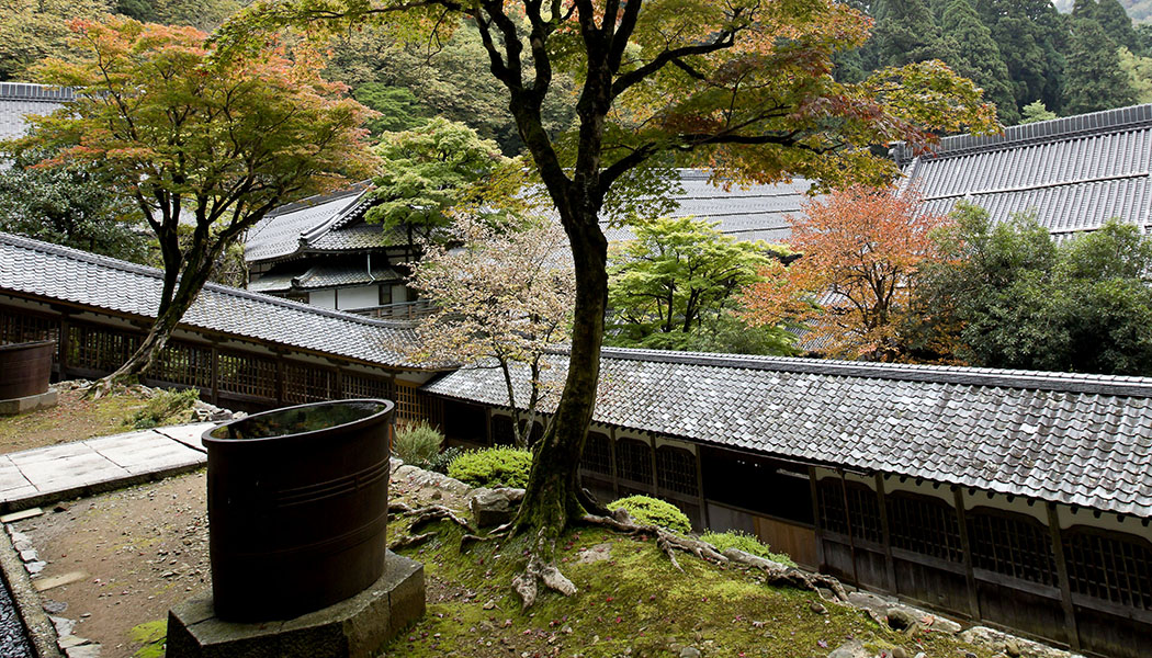 紅葉　永平寺