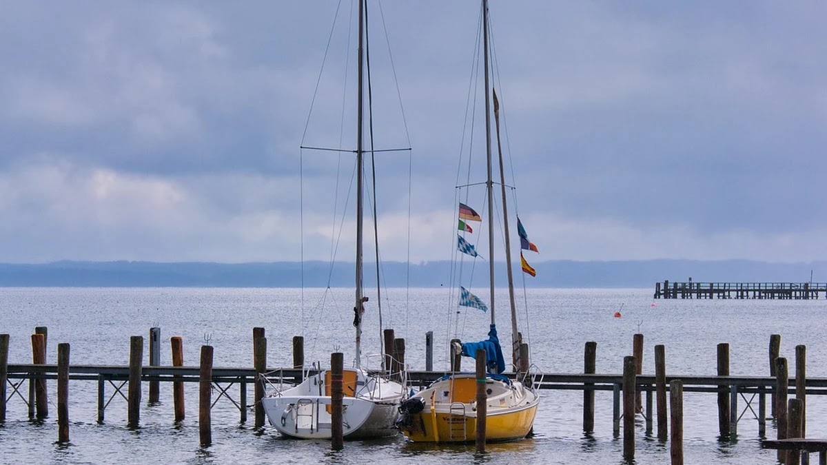 투자자의 과신 편향, 심리학 실험으로 보는 원인과 해법