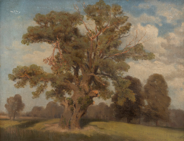 Alter Baum In Der Krieau 1883