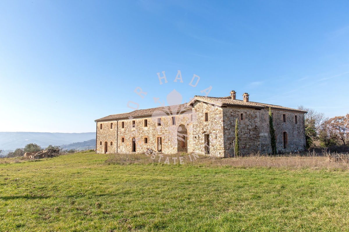וילה קונסולאה (Villa Consulae) — 8