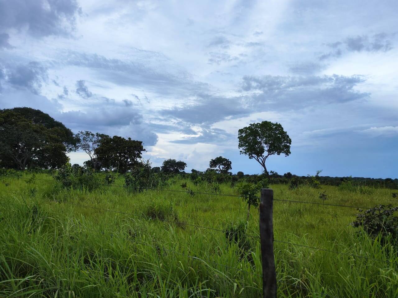 Fazenda no Município de Porangatu - GO 4