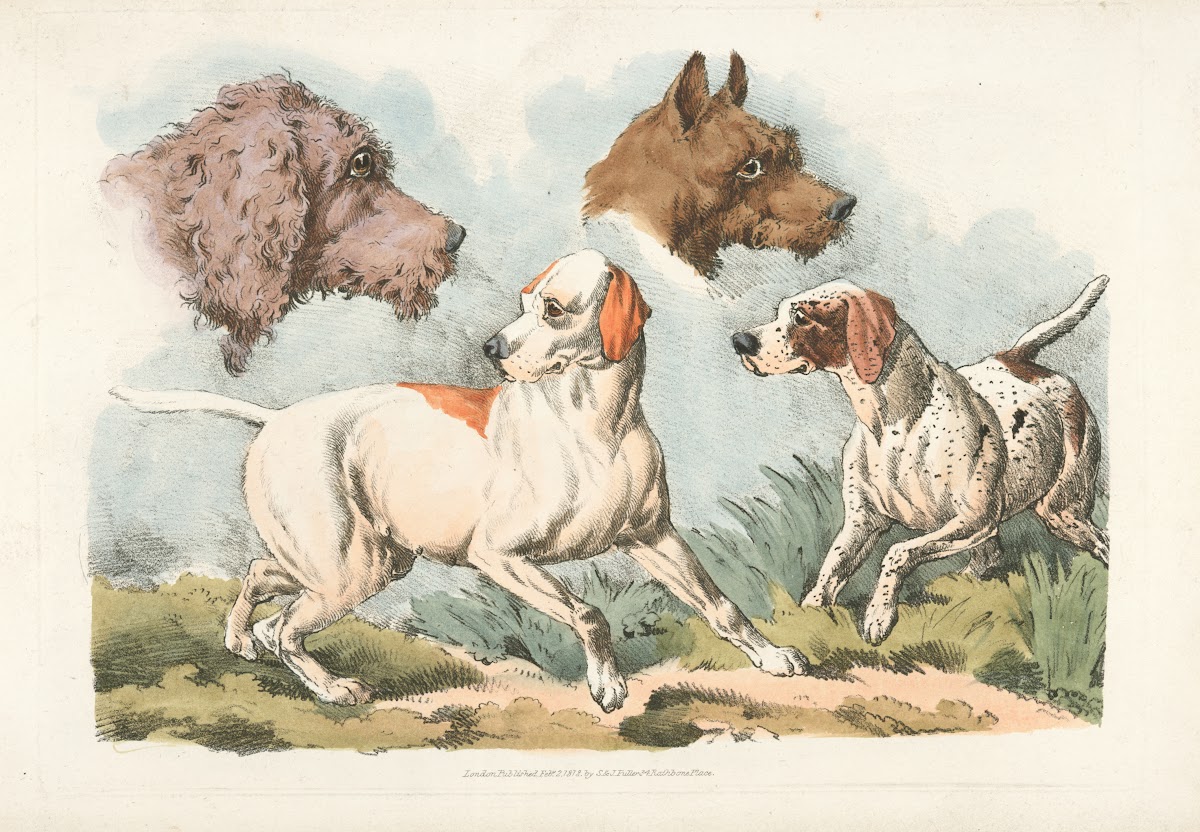 Two dogs and two dog heads 1817 1818