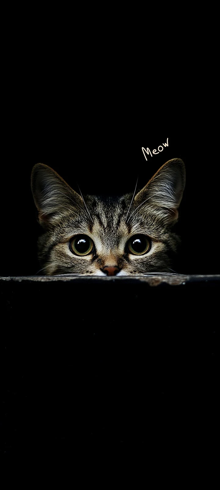 Peeking Tabby Cat Meow - Minimalist Photography 5K iPhone Wallpaper (3750x8333)
