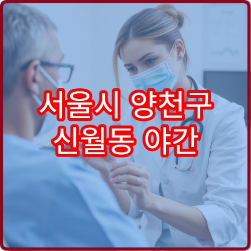 서울시 양천구 신월동 야간 진료 가능한 정형외과 야간 진료 가능한 범위 정리