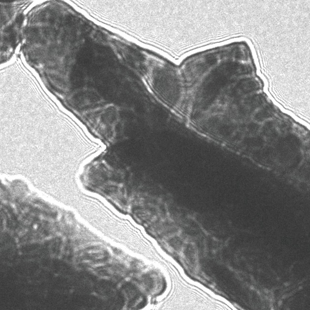 Structural characteristics, surface properties and methylene blue adsorption application of halloysite nanotubes regulated with controllable treatment processes