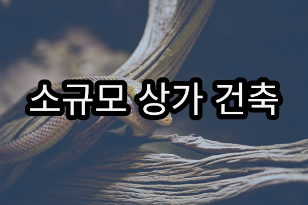 소규모 상가 건축 비용