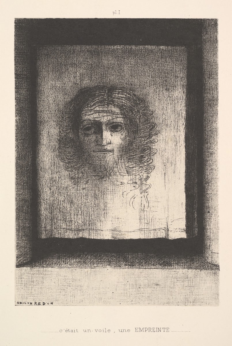 A Veil a Printed Image 1891