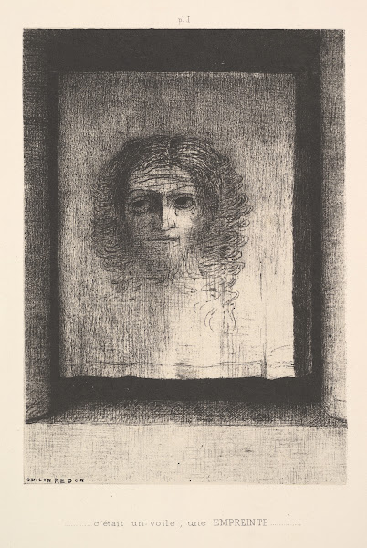 A Veil a Printed Image 1891