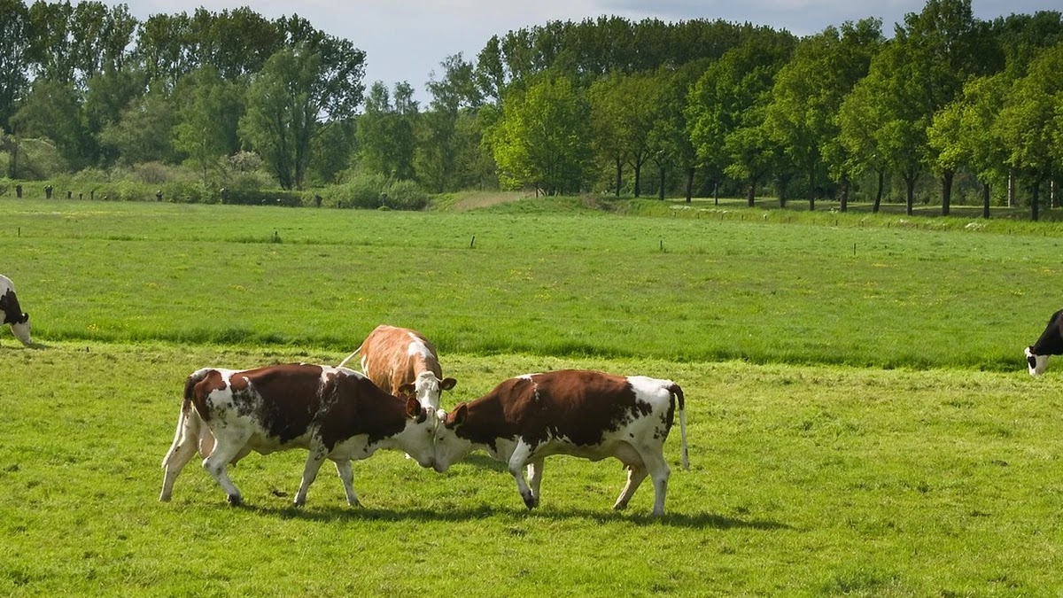 유류분 청구 시 애착 유형별 갈등 대응 전략