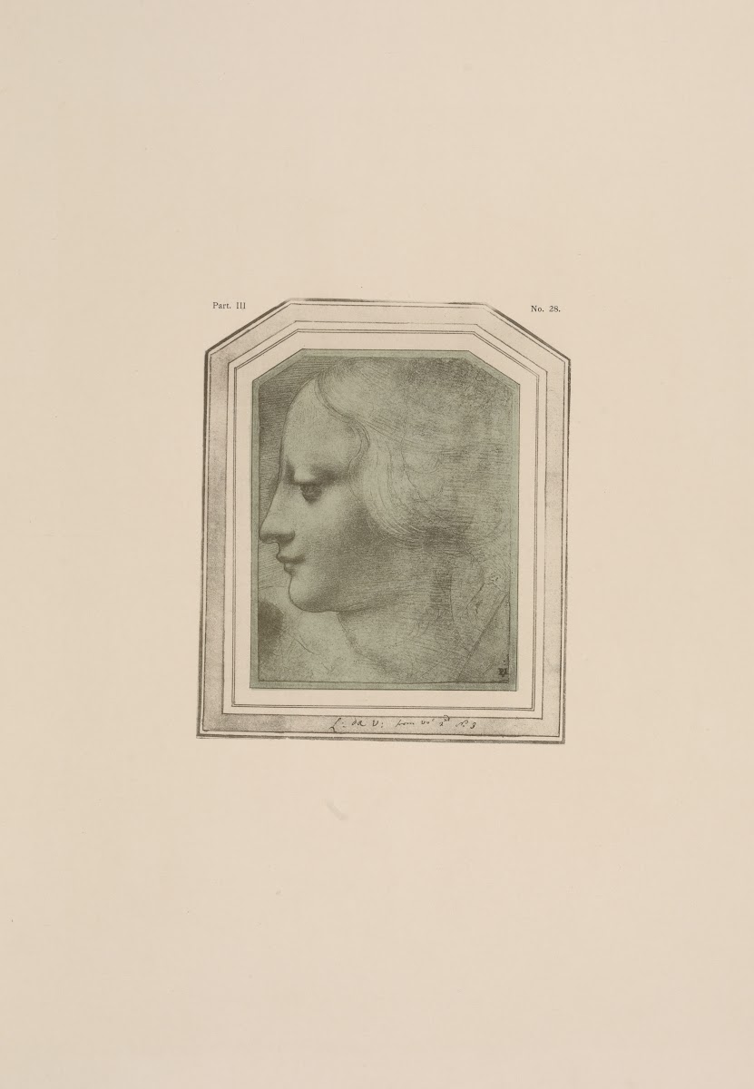 Drawing of female head in profile 1900