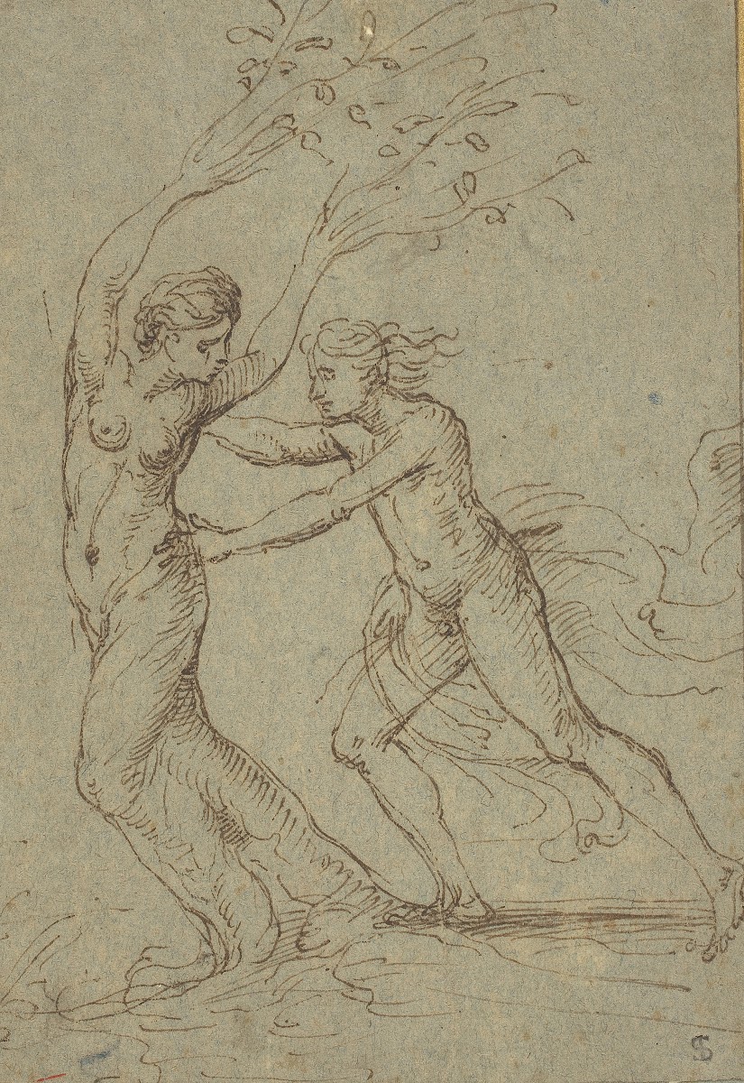 Apollo And Daphne
