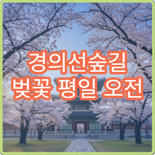 경의선숲길 벚꽃 평일 오전 10시 혼잡 완벽 피하는 방문 가이드