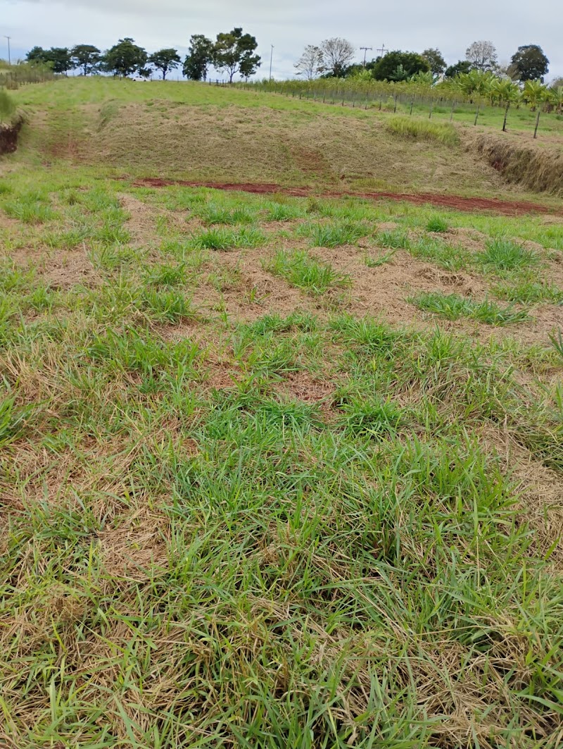 Foto 3 de Terreno pé na água à venda de 6.000m² no Riviera Norte em Arandu