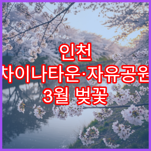 인천 차이나타운·자유공원 3월 벚꽃 여행 코스