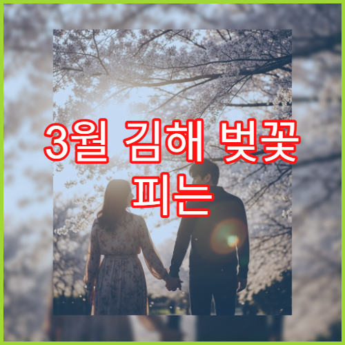 3월 김해 벚꽃 피는 동네 주민들이 아는 한적한 명소