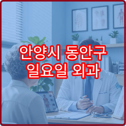 안양시 동안구 일요일 외과 진료 병원 복통·상처 상담 가능