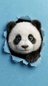 Cute Fluffy Panda Cub Peeking Through a Torn Blue Paper Background