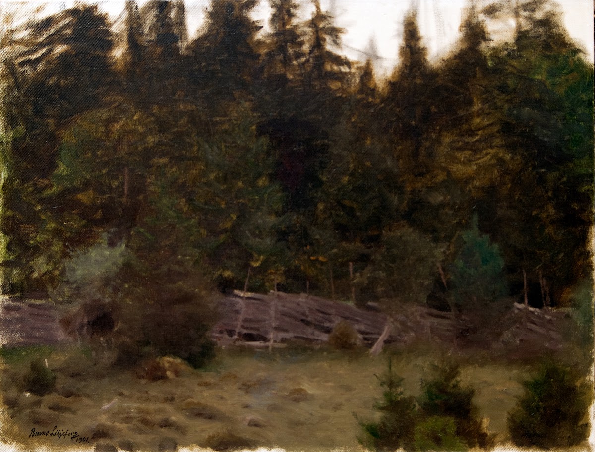 Landscape Study 1901