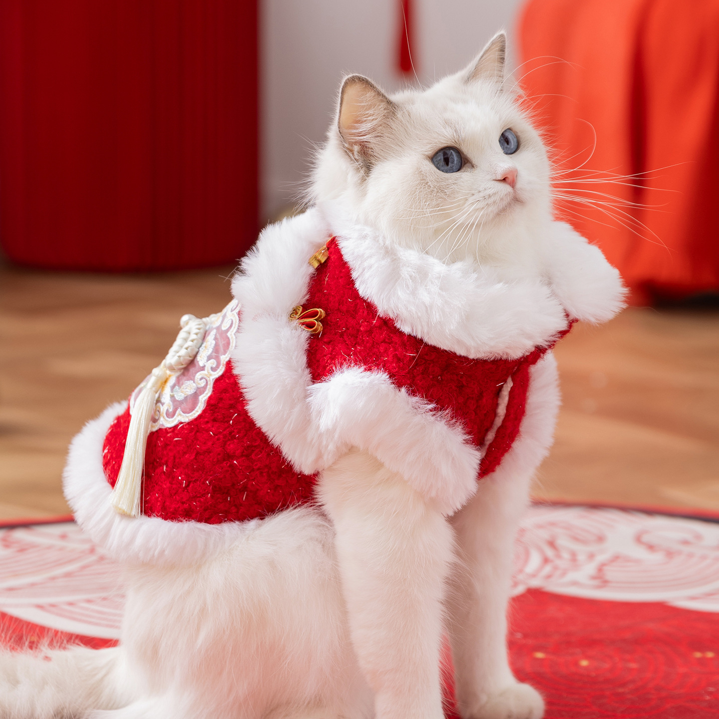 Warming vest for cats, Chinese style